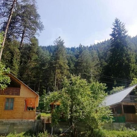 Guest House Ilia Borjomi Exterior photo