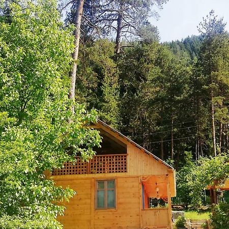 Guest House Ilia Borjomi Exterior photo