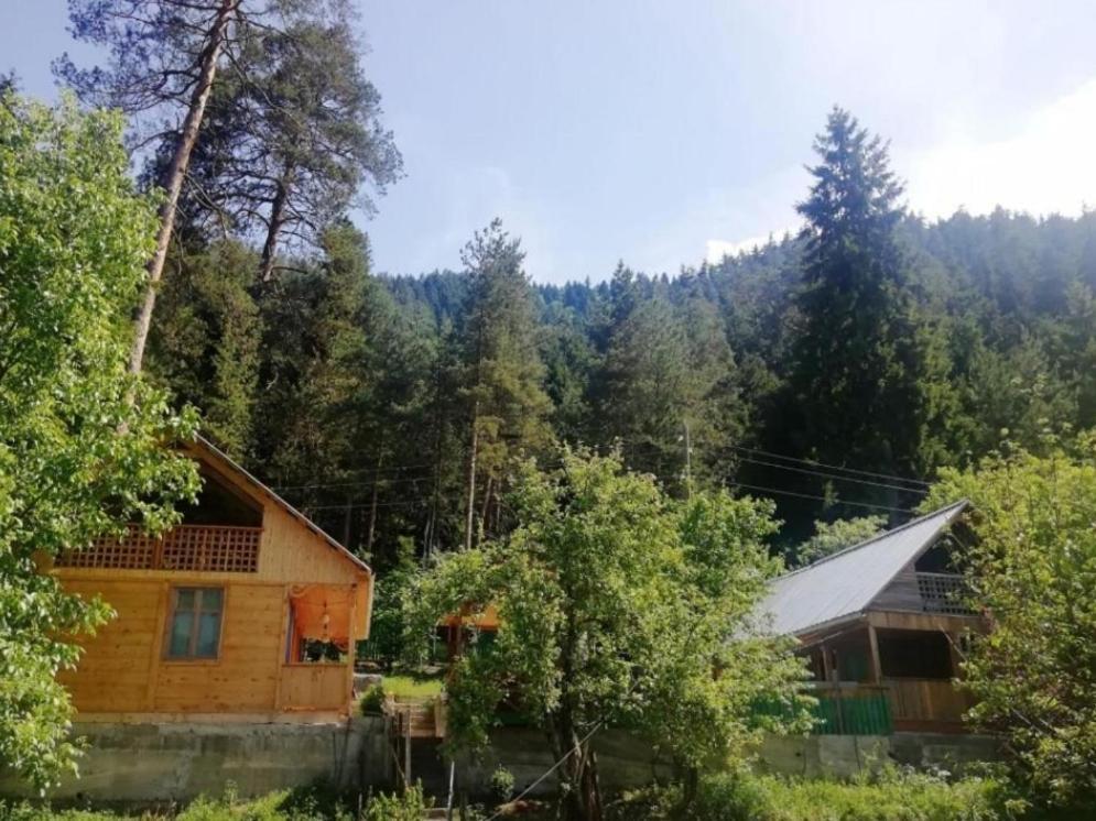 Guest House Ilia Borjomi Exterior photo