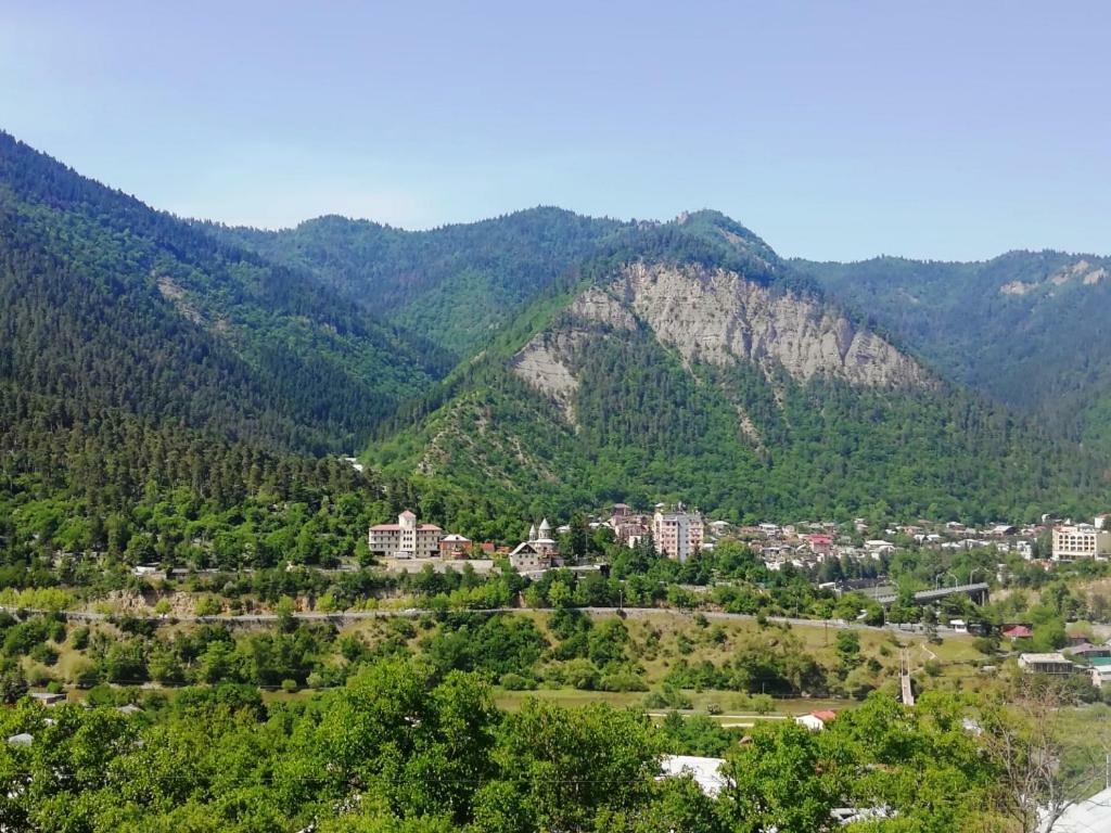 Guest House Ilia Borjomi Exterior photo