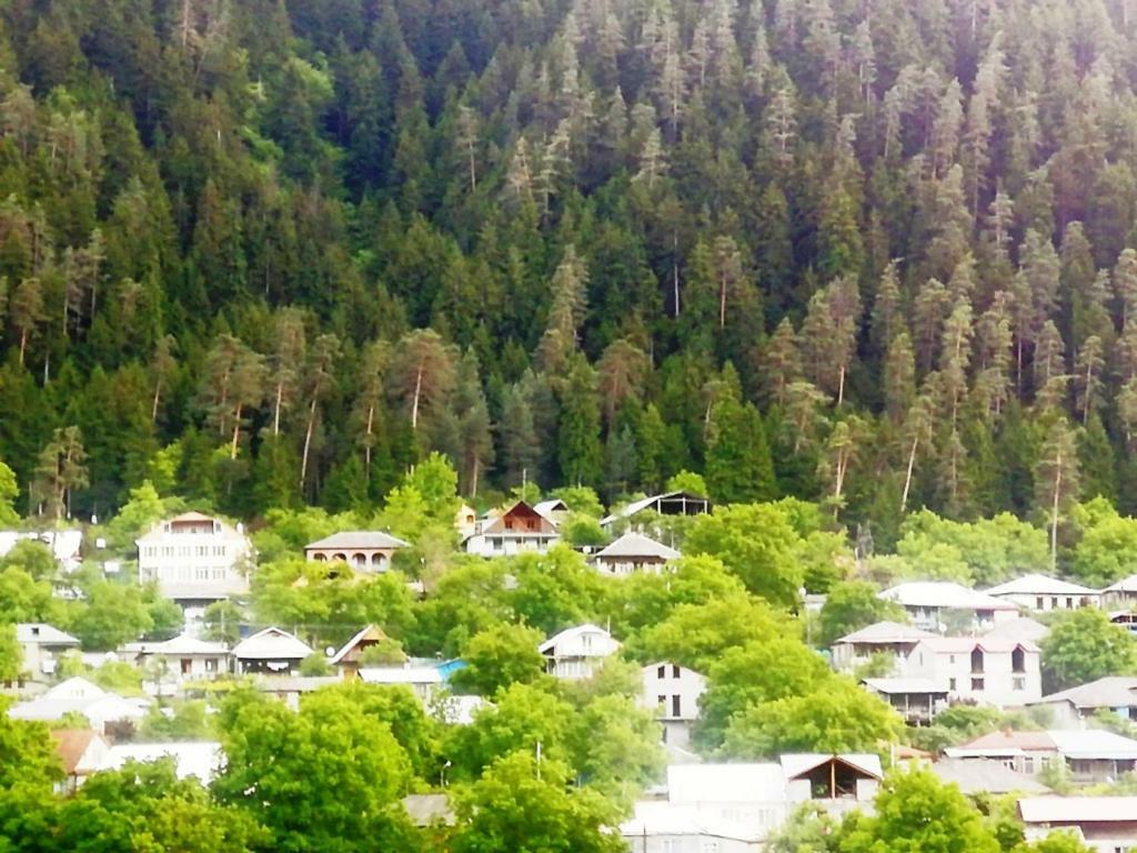 Guest House Ilia Borjomi Exterior photo