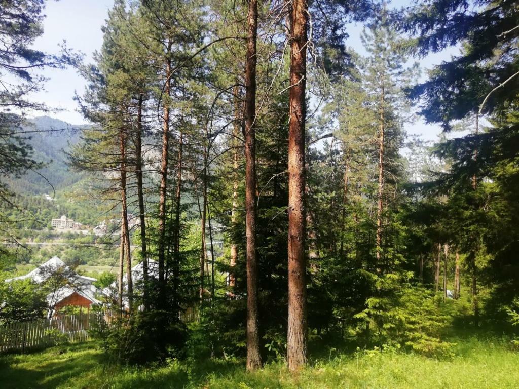 Guest House Ilia Borjomi Exterior photo