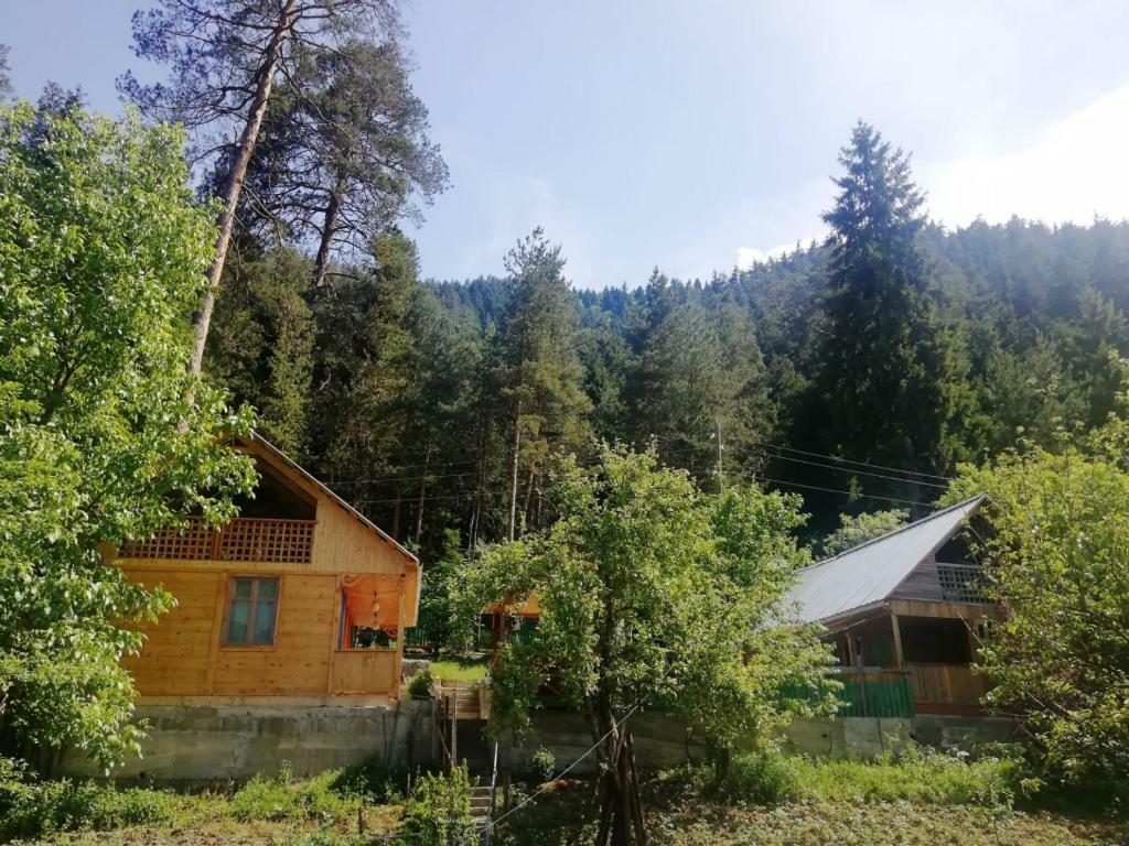 Guest House Ilia Borjomi Exterior photo