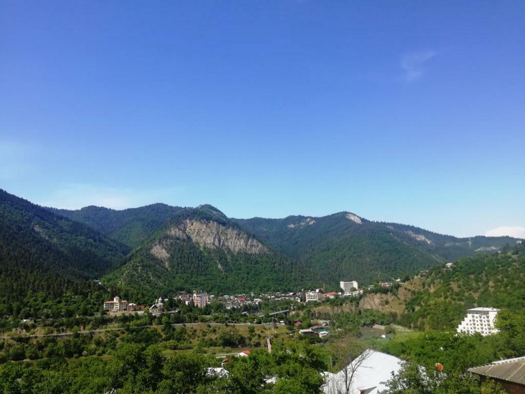 Guest House Ilia Borjomi Exterior photo