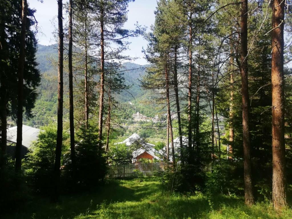Guest House Ilia Borjomi Exterior photo