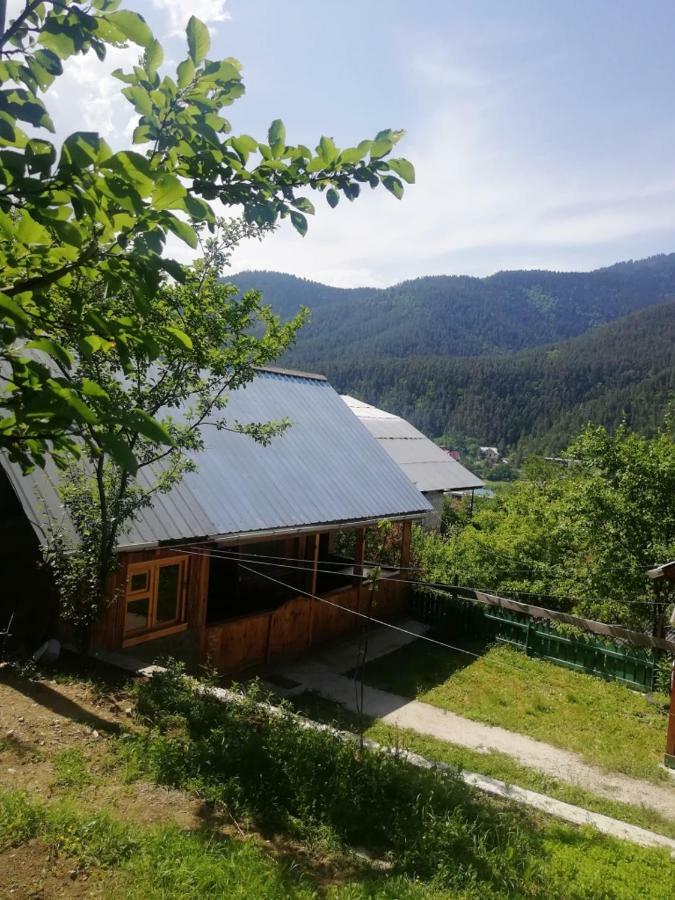 Guest House Ilia Borjomi Exterior photo