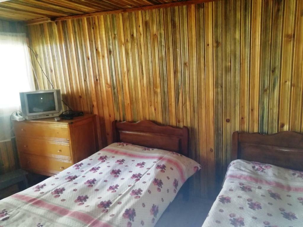 Guest House Ilia Borjomi Exterior photo