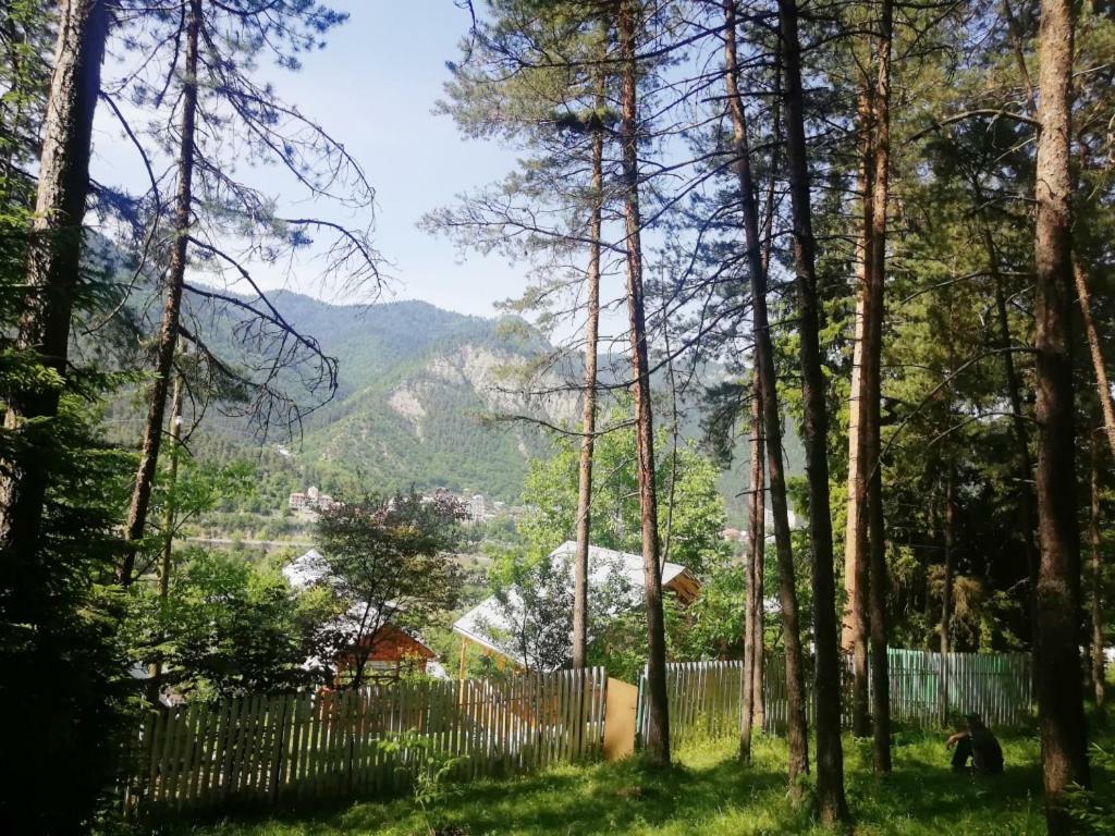 Guest House Ilia Borjomi Exterior photo