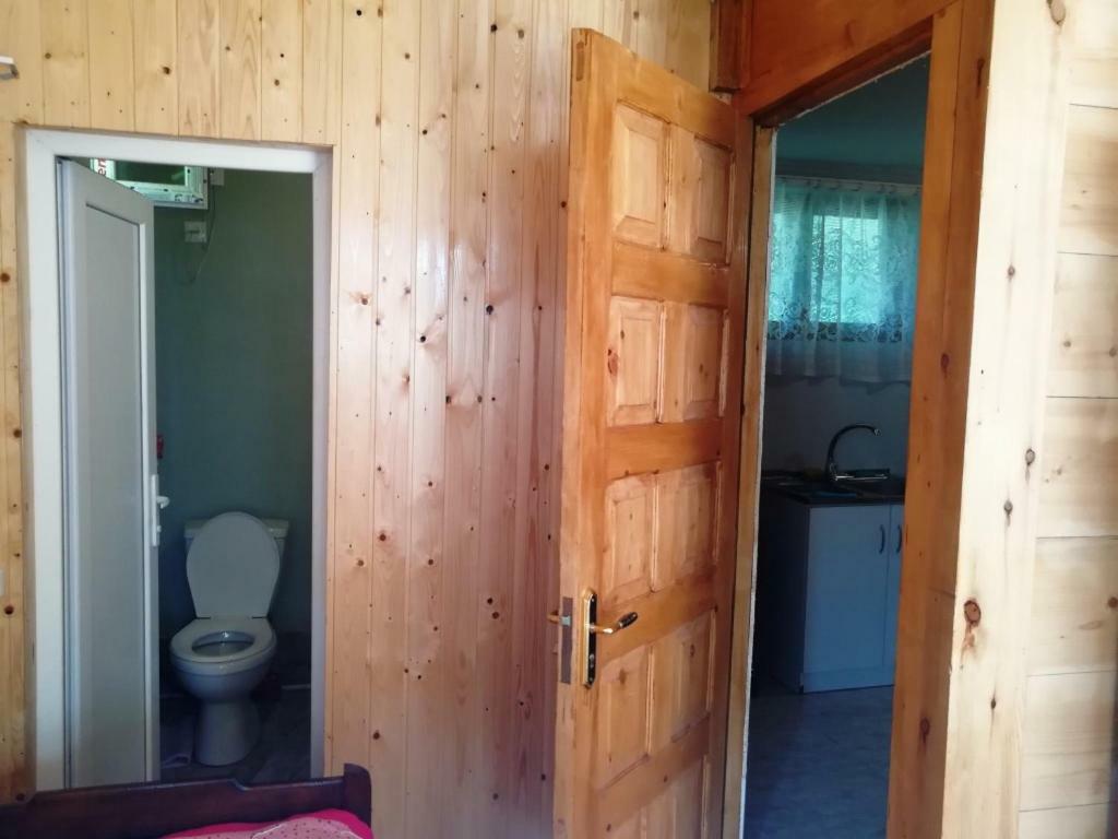 Guest House Ilia Borjomi Exterior photo
