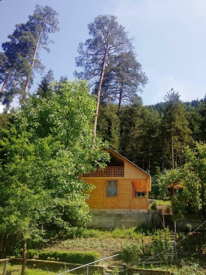 Guest House Ilia Borjomi Exterior photo