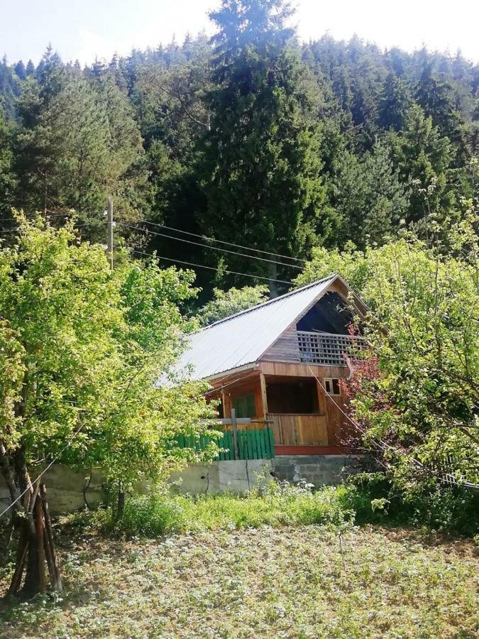 Guest House Ilia Borjomi Exterior photo
