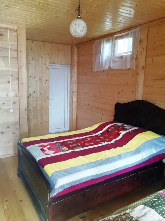 Guest House Ilia Borjomi Exterior photo