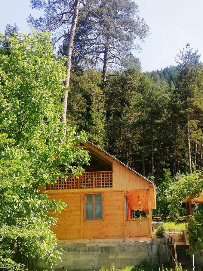 Guest House Ilia Borjomi Exterior photo